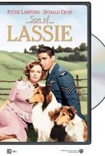 Il figlio di Lassie poster