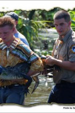 Guarda online Nat Geo Wild: Swamp Men gratuitamente.
