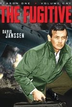 Watch The Fugitive online free.