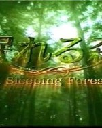 Watch A Sleeping Forest online free.