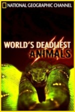 Watch Worlds Deadliest Animals kostenlos online.